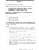 Trabajo Práctico Virtual: División celular