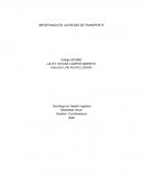 IMPORTANCIA DE LAS REDES DE TRANSPORTE