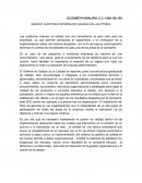 ENSAYO AUDITORIA INTERNA DE CALIDAD EN LAS PYMES