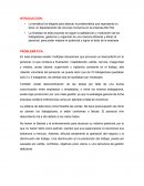 Como afecta a la empresa no tener un departamento?