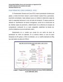 PENETRÓMETRO CONO DINÁMICO. (PDC)