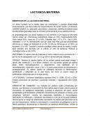 LACTANCIA MATERNA BENEFICIOS DE LA LACTANCIA MATERNA