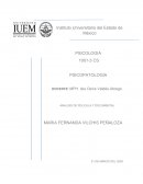 Análisis psicológico pelicula un viaje inesperado