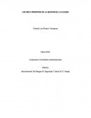 Los siete principios de la gestion de la calidad