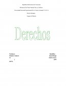 Explicar el derecho constitucional y los principios