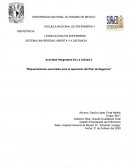 Requerimientos escenciales para el plan de negocios