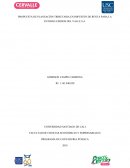 PROPUESTA DE PLANEACIÓN TRIBUTARIA EN IMPUESTO DE RENTA PARA LA ENTIDAD CERDOS DEL VALLE S.A