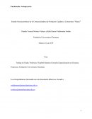 Estudio socioeconómico de la comercializadora de productos capilares y extensiones "Mayte”