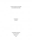 CASO DE ESTUDIO: BANCOLOMBIA ES EL MOMENTO DE TODOS