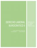 Derecho laboral burocratico