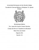 Ensayo de "Cazadores de Microbios"