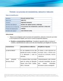 Los procesos de reclutamiento, seleccion e induccion. (General Motors de México) (BorgWarner Irapuato)