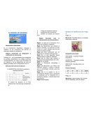 EL ARANCEL DE ADUANAS