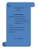 TRABAJO SOBRE INFORME DE AUDITORIA