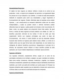 SOSTENIBILIDAD FINANCIERA