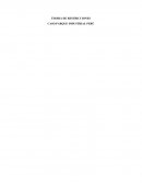 TEORIA DE RESTRICCIONES. CASO PARQUE INDUSTRIAL PERÚ