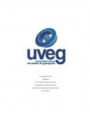 Tarea uveg. Si tú fueras el gerente de la empresa...