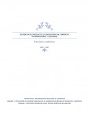 EVIDENCIA DE PRODUCTO LICENCIATURA EN COMERCIO INTERNACIONAL Y ADUANAS