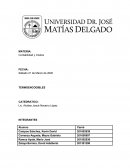 TERMOENCOGIBLES S.A. de C.V