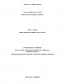 Administración en finanzas y negocios internacionales