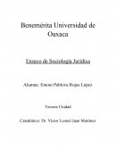 ENSAYO DE SOCIOLOGÍA JURÍDICA