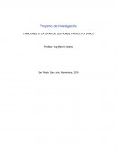 FUNCIONES DE LA OFIСINA DE GESTION DE PROYECTOS (PMO)