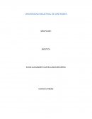 Puntos a Resolver Taller 1 Bioética