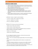 PREGUNTAS SOBRE TEJIDOS