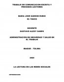 LA LECTURA EN LAS REDES SOCIALES