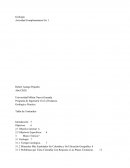 Geologia y Practica