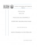 PSICOLOGIA DEL DESARROLLO Registros anecdoticos