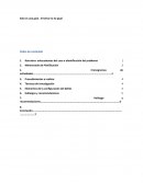 Caso Empresa Importadora y Productora de Insumos para la Industria Eléctrica