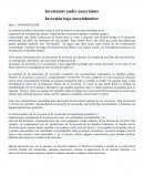 Inversión bajo incertidumbre