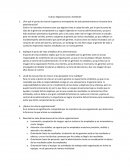 Cultura Organizacional y Ambiente