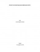 INFORME EJECUTIVO EJEMPLO