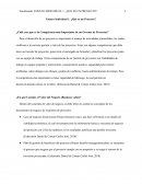 Ensayo Individual - Qué es un proyecto