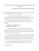 Sobre La Acción y la Noción de Agencia: Relatoría del texto de Elías Manaced Rey y Víctor Espinosa Galán