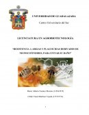 Resistencia a abejas y plaguicidas derivados de neonicotinoides, para evitar su daño