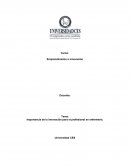 Importancia de la innovación para el profesional en enfermería