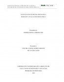 SUTENTACION DE PRUEBA WISC