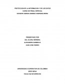 Dellito informaticos art 269a