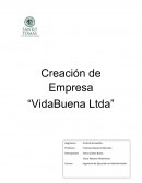 Creación de Empresa “VidaBuena Ltda”
