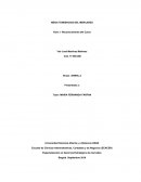 MEGA TENDENCIAS DEL MERCADEO