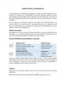 REPORTE FINAL: LA CREPERIA SA