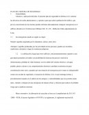 PLAN DEL SISTEMA DE SEGURIDAD