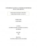 PRACTICA: SULFITOS, TIOSULFATOS Y SULFUROS