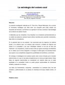 La estrategia del océano azul