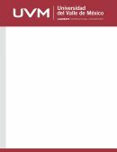 Economía Internacional “Actividad 11. Resumen”