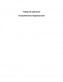 Trabajo Practico Sobre Empresa COSEAM GRUP