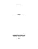 ESTUDIO DE CASO CENTRO TEXTIL Y DE GESTIÓN INDUSTRIAL